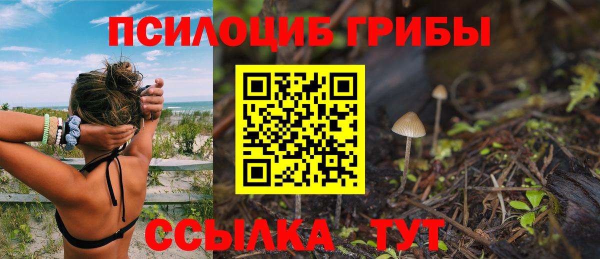 Галлюциногенные грибы прущие грибы Советский