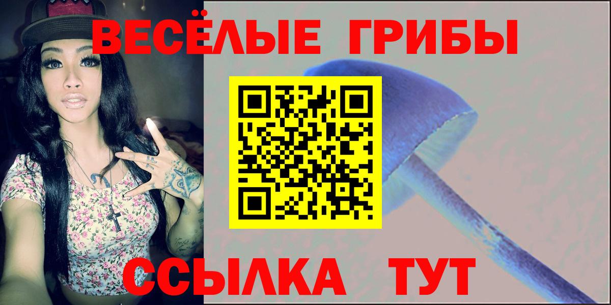 Советский  Галлюциногенные грибы MAGIC MUSHROOMS  Вход с VPN 